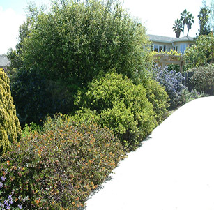 California Native Gardens